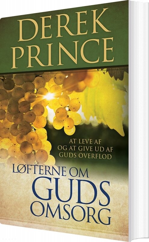Billede af Løfterne Om Guds Omsorg - Derek Prince - Bog
