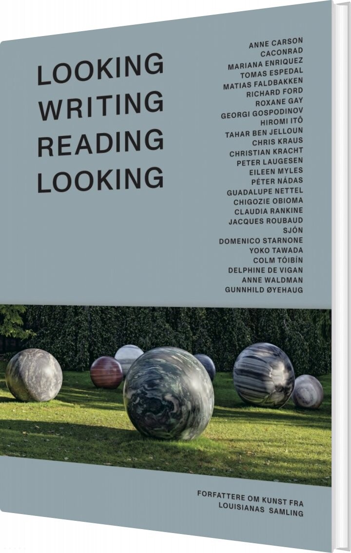 Looking Writing Reading Looking - Chris Kraus - Bog