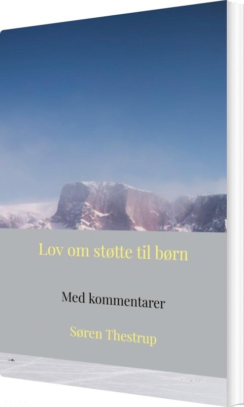 Lov Om Støtte Til Børn - Søren Thestrup - Bog