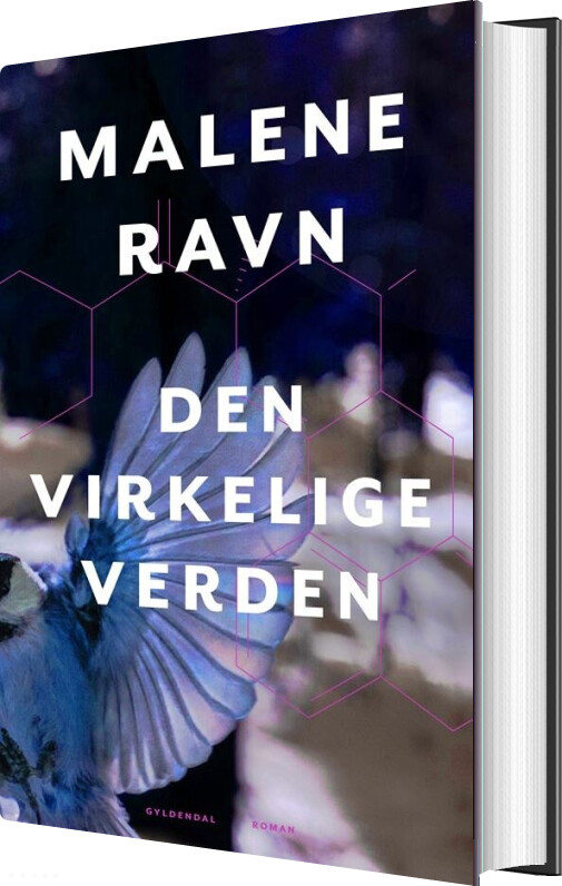 Billede af Den Virkelige Verden - Malene Ravn - Bog