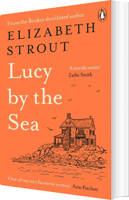 Lucy By The Sea - Elizabeth Strout - English Book
