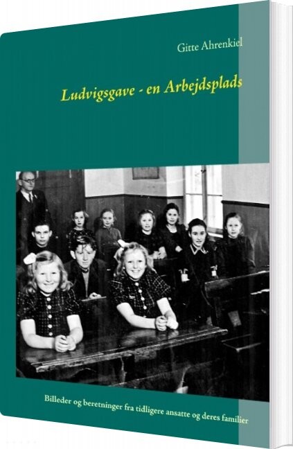 Billede af Ludvigsgave - En Arbejdsplads - Gitte Ahrenkiel - Bog