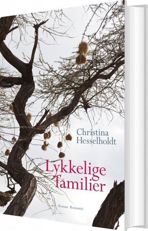 Billede af Lykkelige Familier - Christina Hesselholdt - Bog