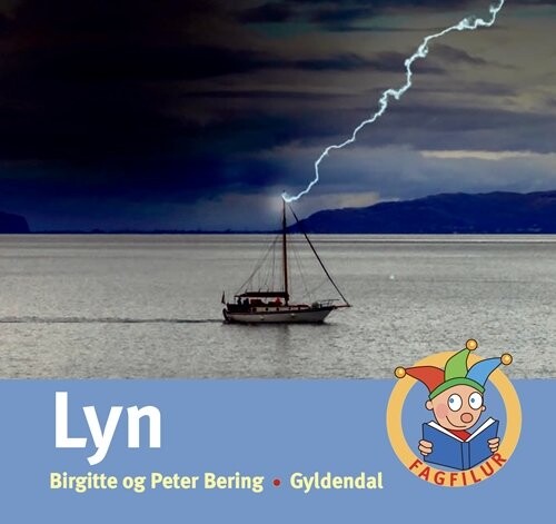 Billede af Lyn - Peter Bering - Bog
