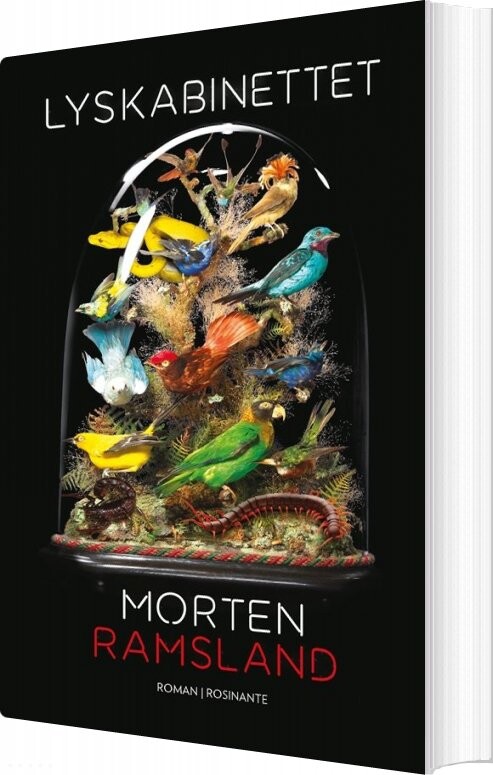 Billede af Lyskabinettet - Morten Ramsland - Bog