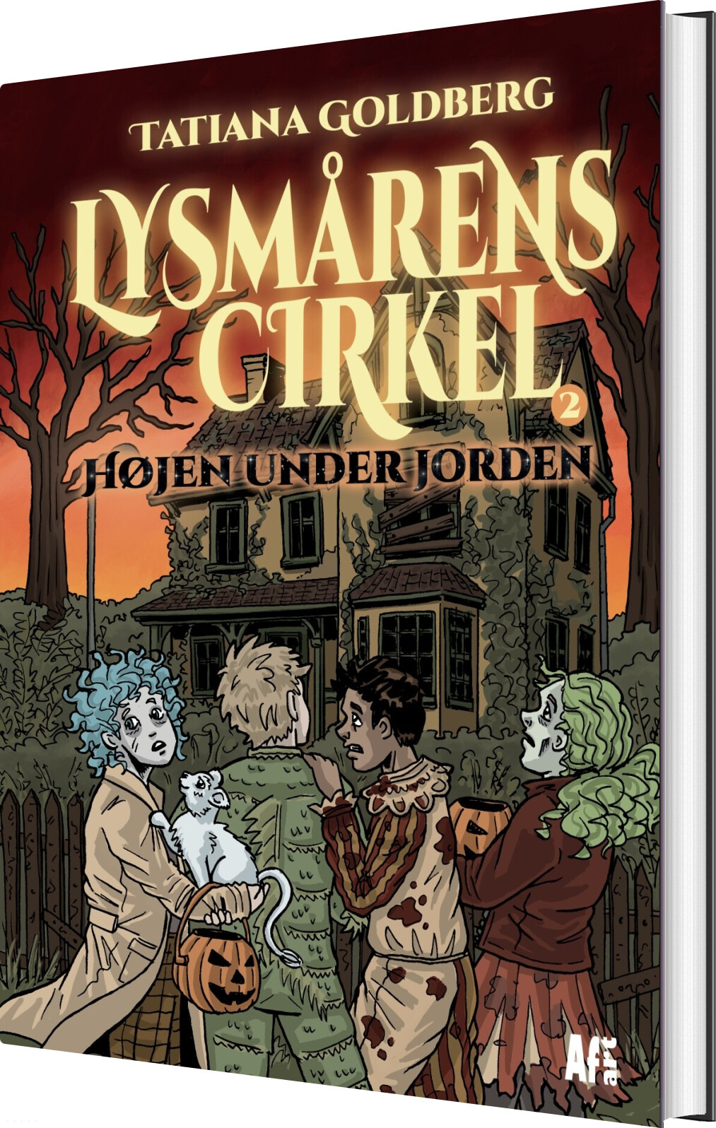 Lysmårens Cirkel 2 - Højen Under Jorden - Tatiana Goldberg - Bog