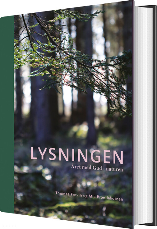Billede af Lysningen - Thomas Frovin - Bog