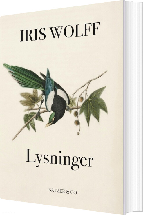 Lysninger - Iris Wolff - Bog