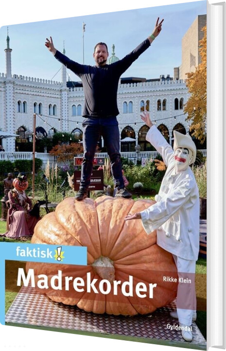 Madrekorder - Rikke Klein - Bog