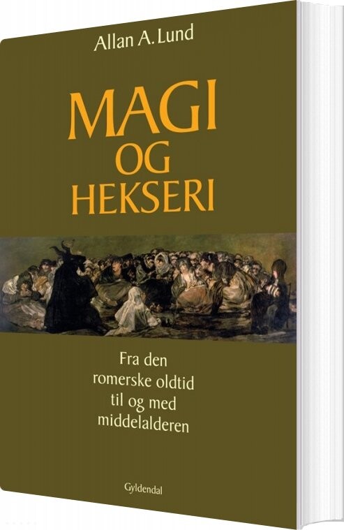 Billede af Magi Og Hekseri - Allan A. Lund - Bog