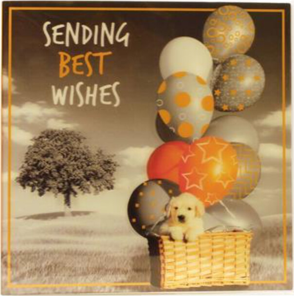 Magni | 3d Kort - Best Wishes Puppy