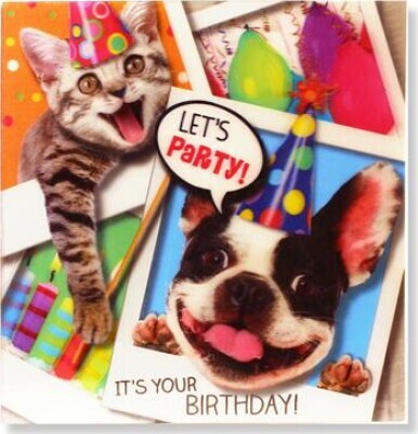 Magni | 3d Kort - Let's Party - Dyre / Med