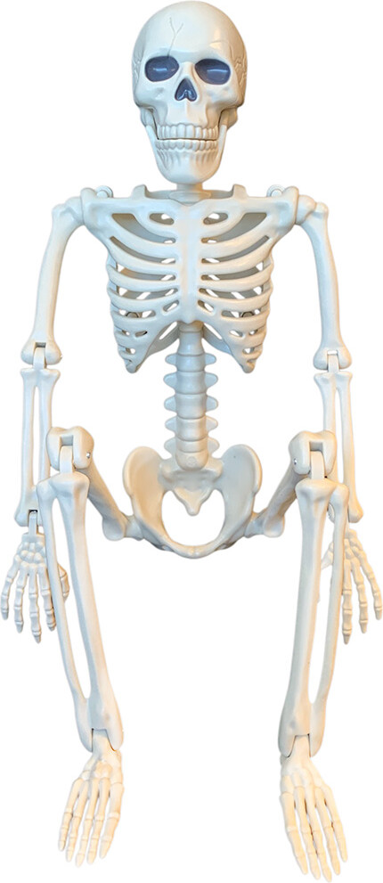 Magni - Halloween Skelet Dekoration / Ma