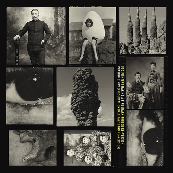 Foo Fighters - Making A Fire - Vinyl Lp