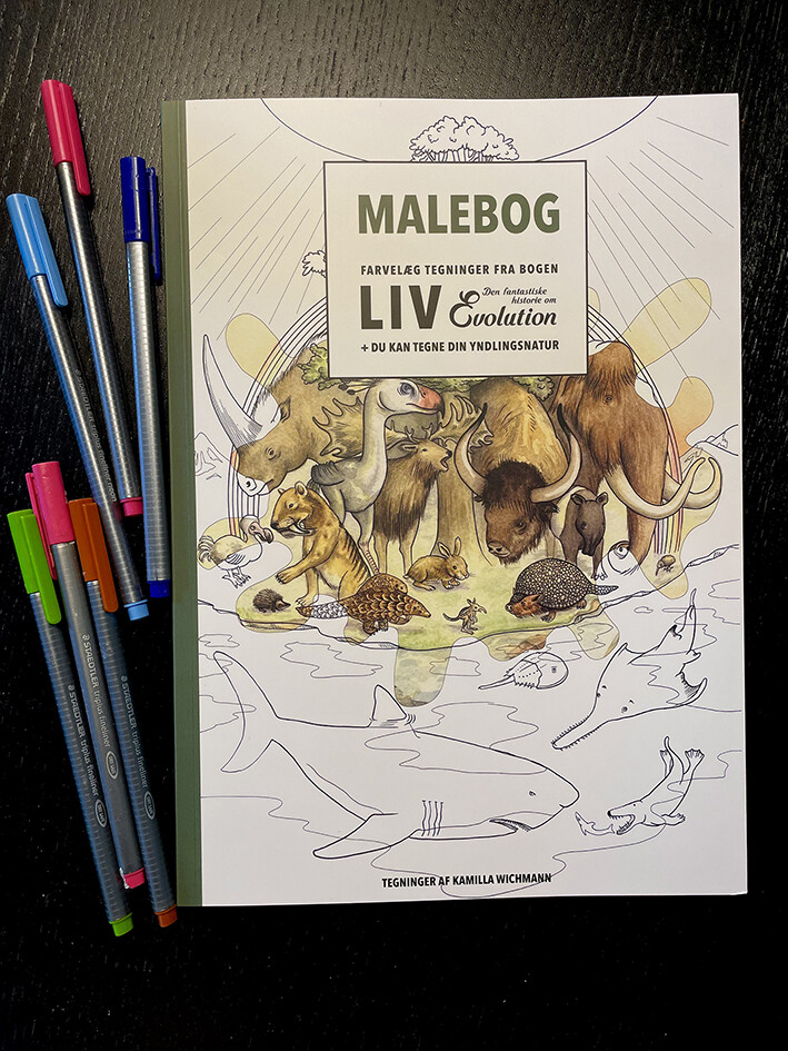Billede af Malebog - Kamilla Wichmann - Bog
