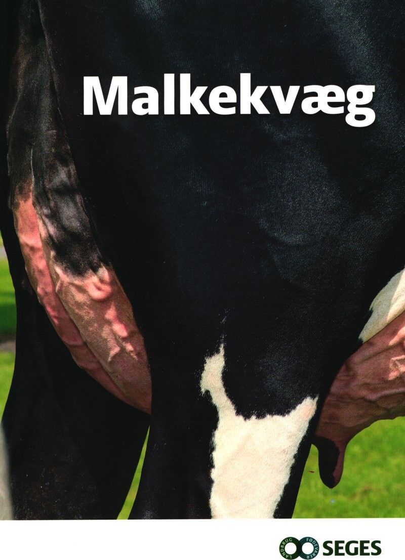 Malkekvæg - Lars Pedersen - Bog