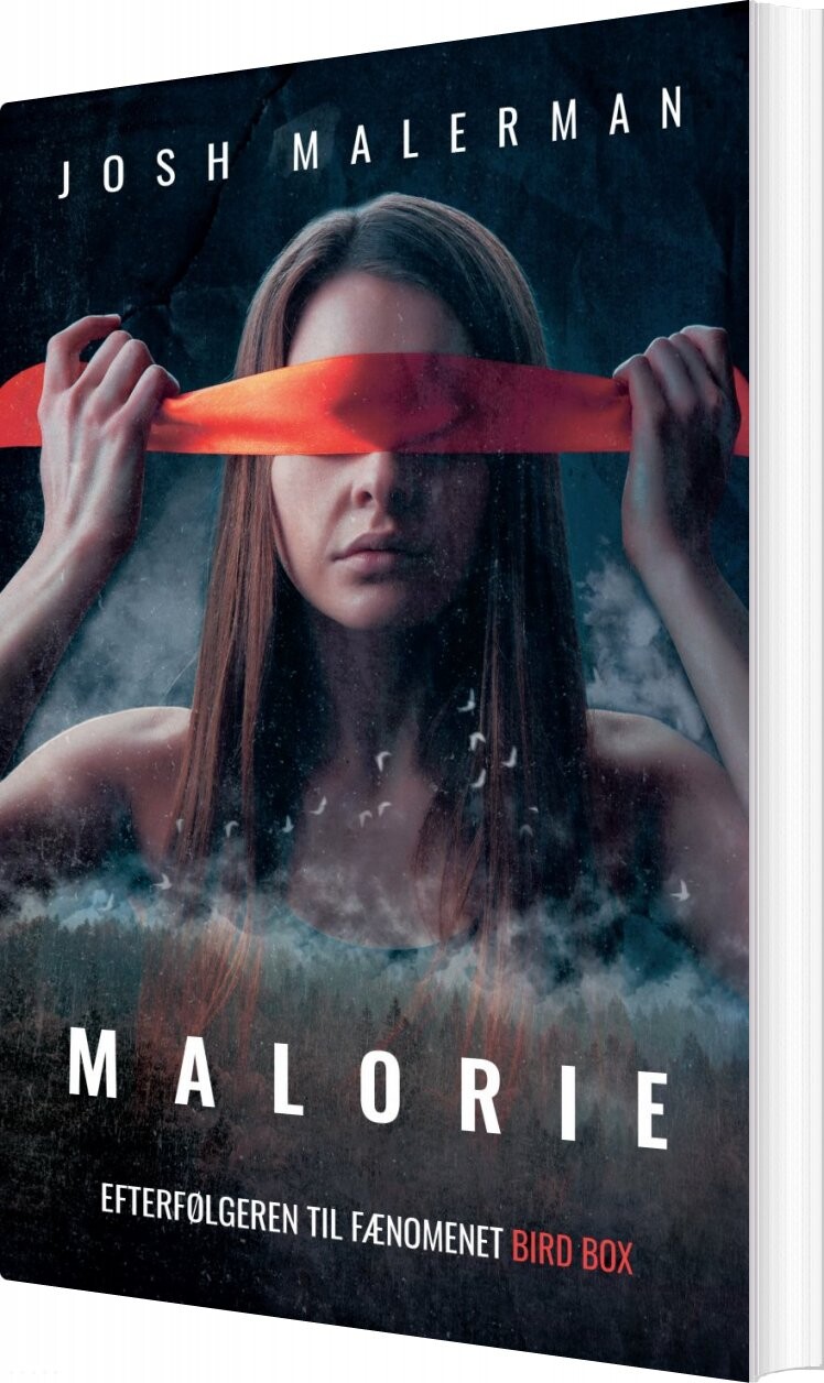 Malorie - Josh Malerman - Bog
