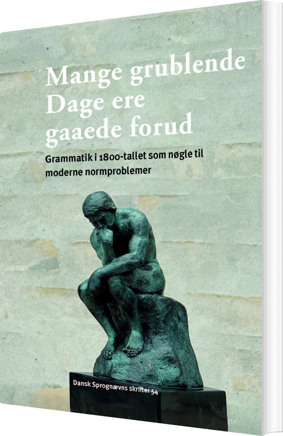 Billede af Mange Grublende Dage Ere Gaaede Forud - Eva Skafte Jensen - Bog