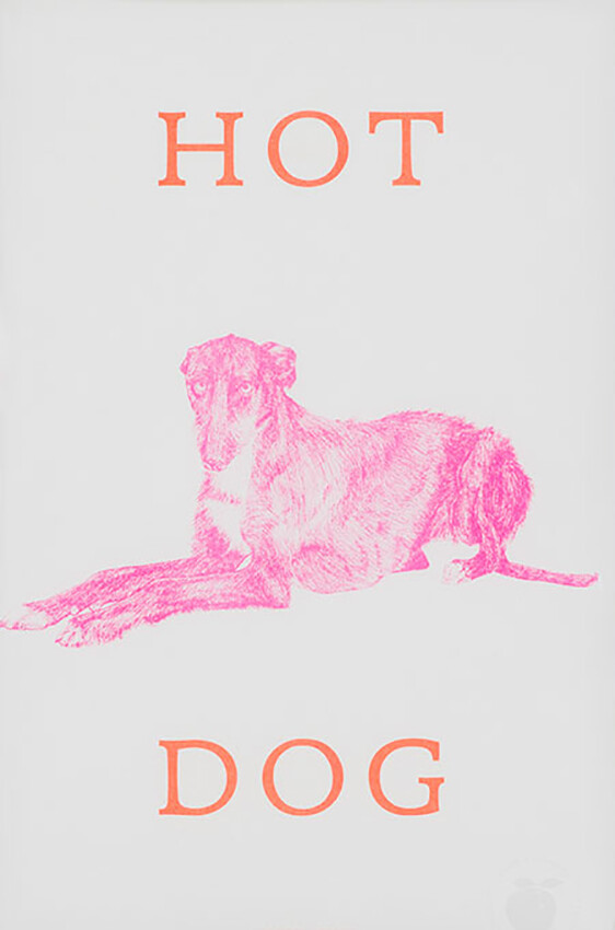 Marke Newton - A3 Print - Hot Dog billede