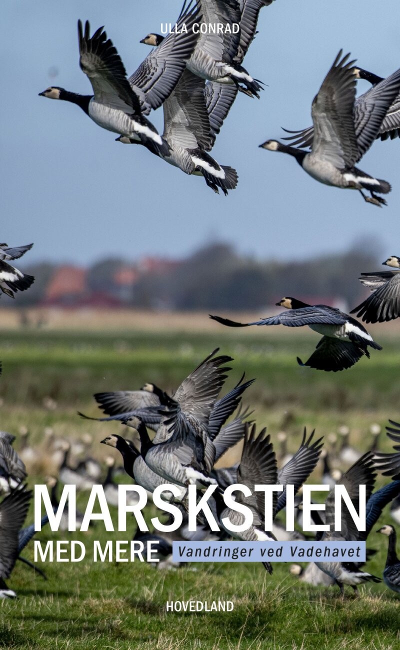 Marskstien - Ulla Conrad - Bog