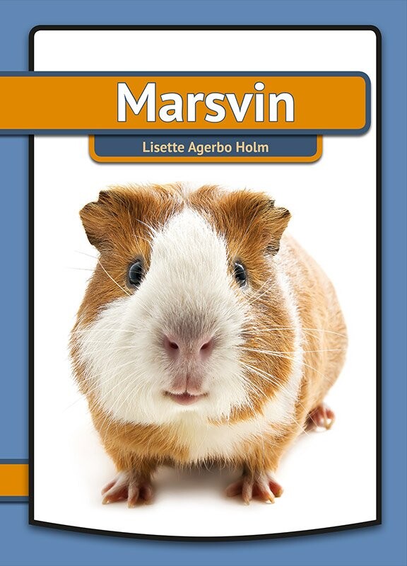 Billede af Marsvin - Lisette Agerbo Holm - Bog