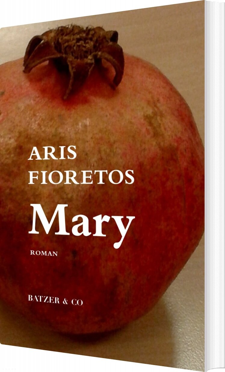 Billede af Mary - Aris Fioretos - Bog