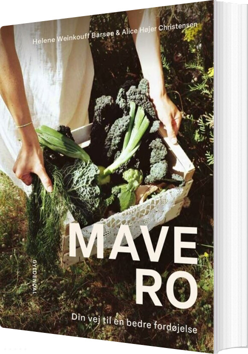 Mavero - Helene Weinkouff Barsøe - Bog