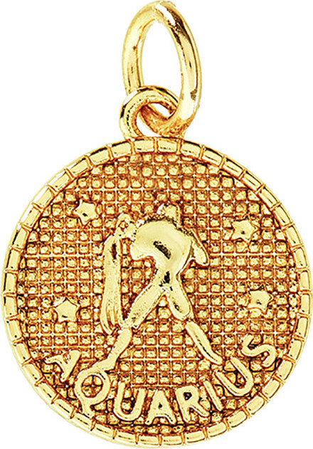 Me & My Box - Vedhæng - Stjernetegn - Vandmanden - Guldbelagt 18 Karat