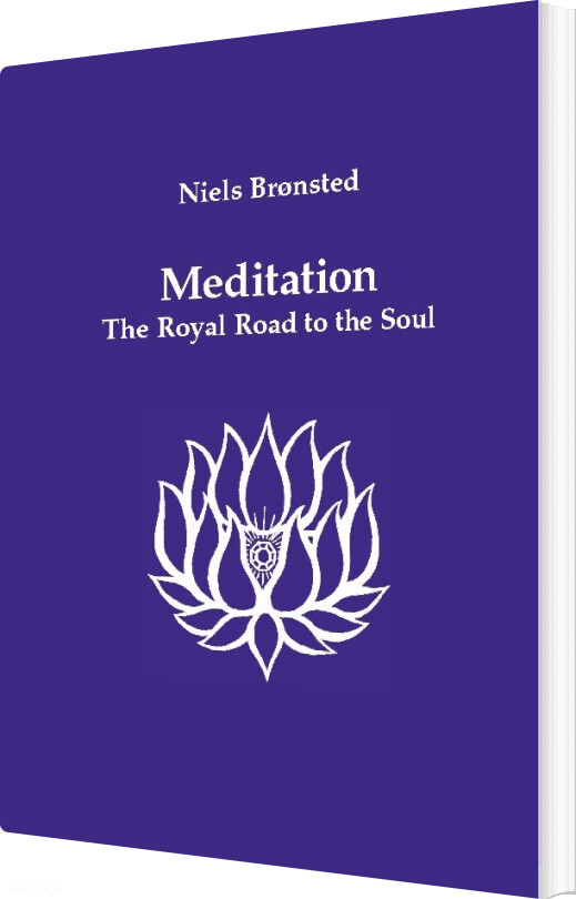 Billede af Meditation - Niels Brønsted - English Book