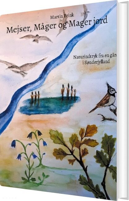 Mejser, Måger Og Mager Jord - Martin Brink - Bog