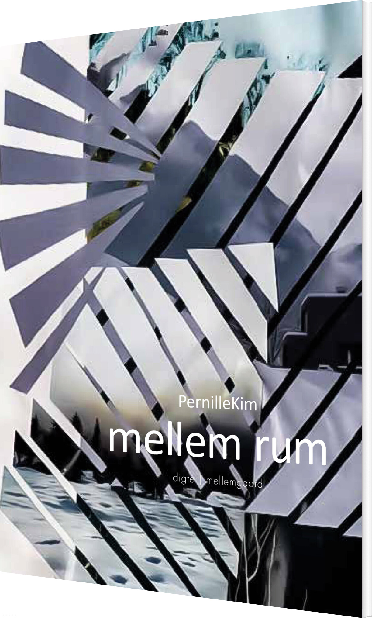 Mellem Rum - Pernille Kim - Bog