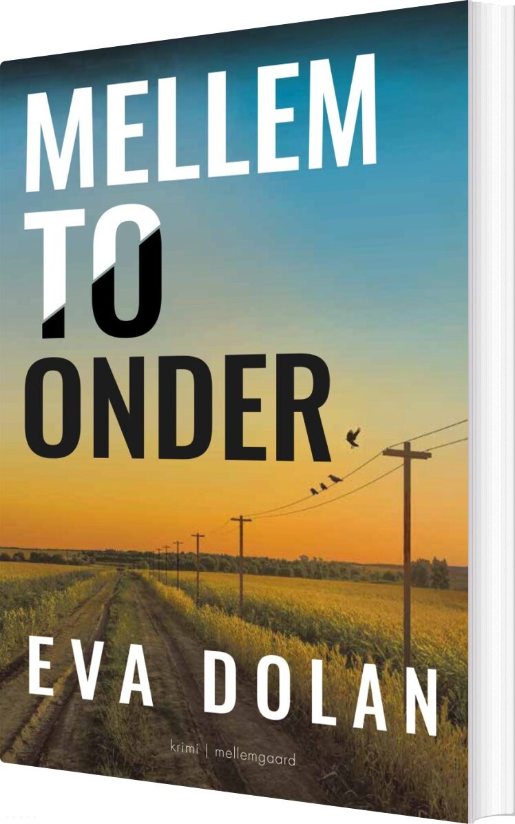 Mellem To Onder - Eva Dolan - Bog