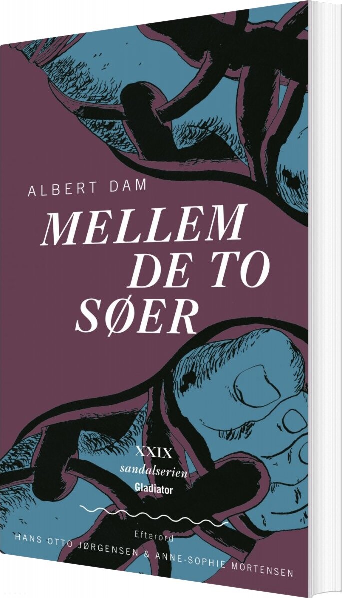 Billede af Mellem To Søer - Albert Dam - Bog