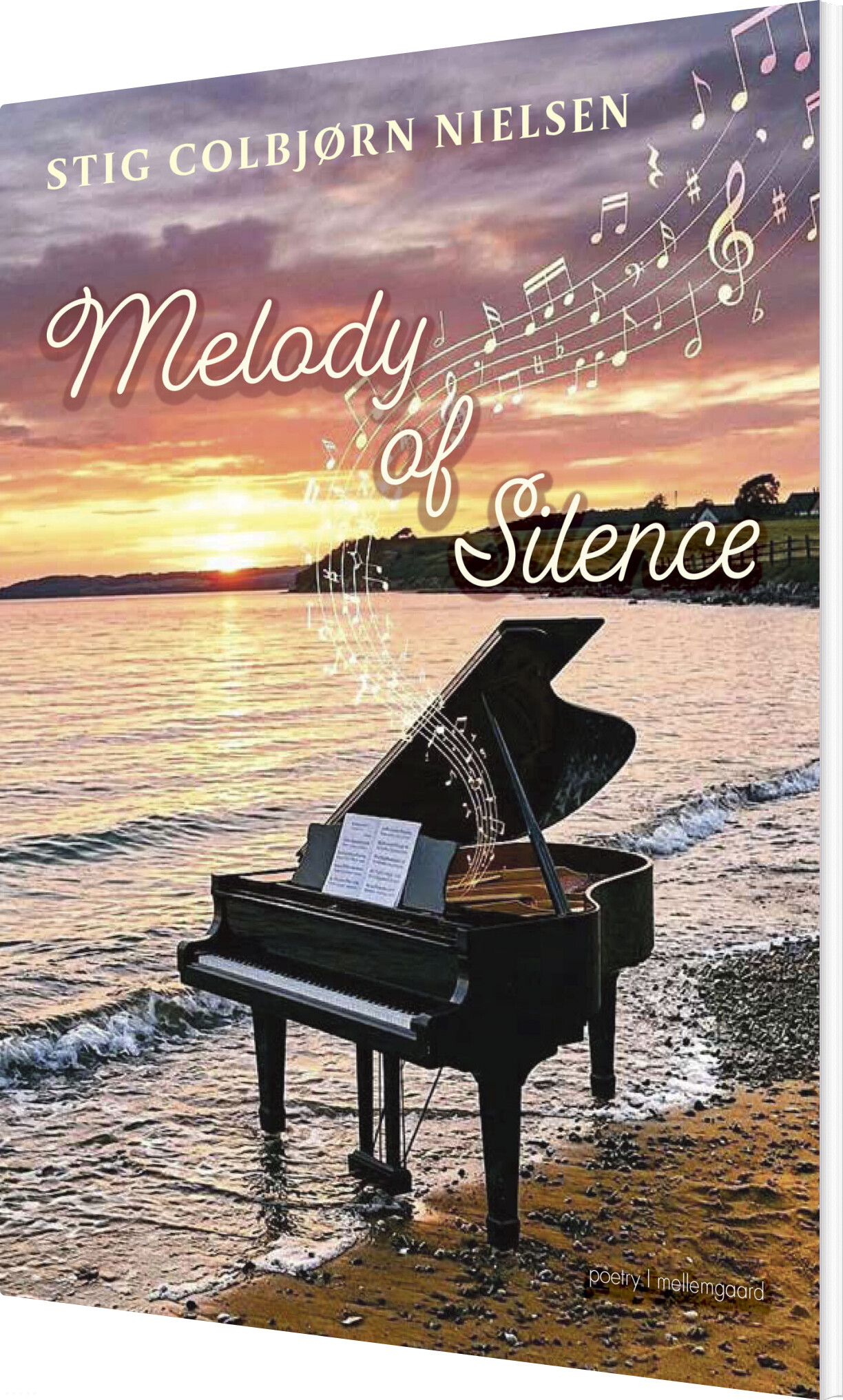 Melody Of Silence - Stig Colbjørn Nielsen - English Book