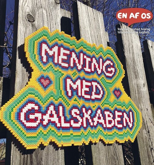 Billede af Mening Med Galskaben - Diverse - Bog