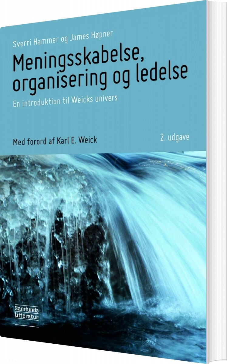 Meningsskabelse, Organisering Og Ledelse - James Høpner - Bog