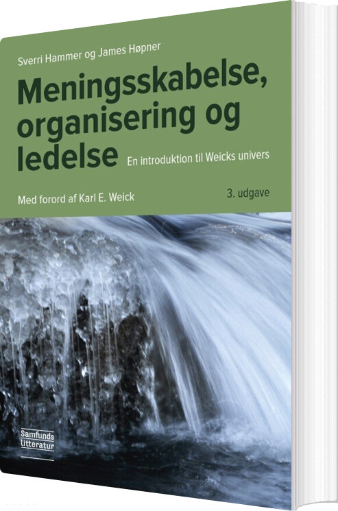 Meningsskabelse, Organisering Og Ledelse - James Høpner - Bog