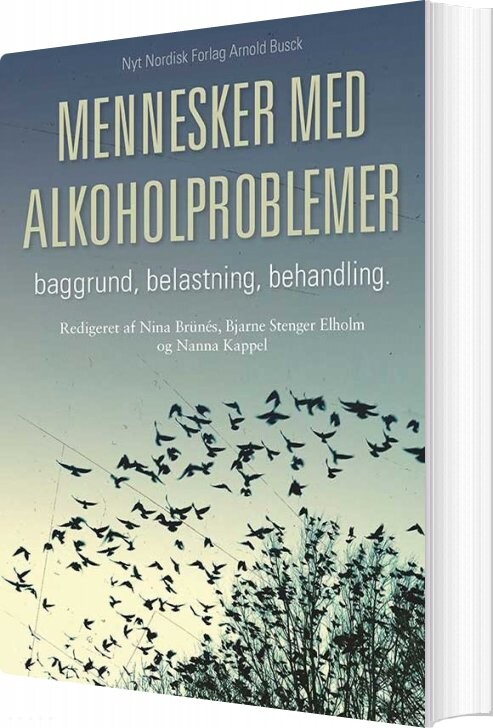 Mennesker Med Alkoholproblemer - Nanna Kappel - Bog