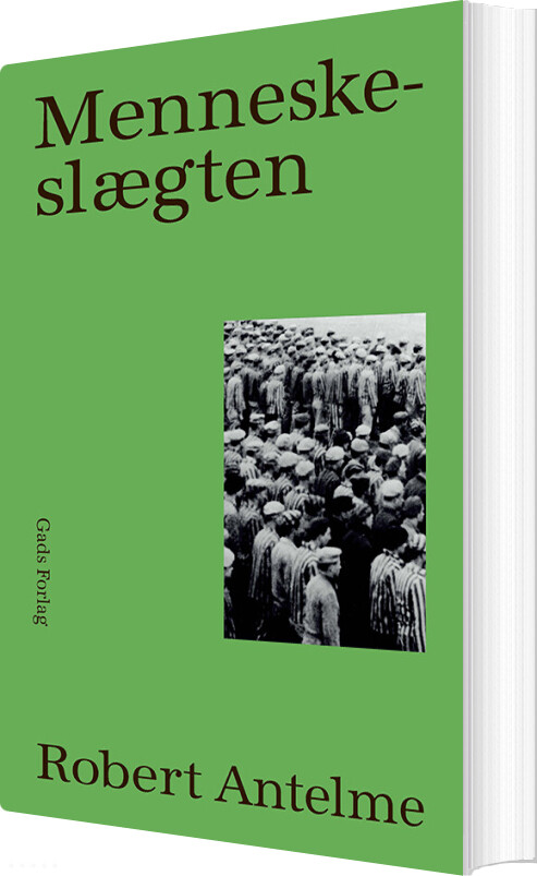Billede af Menneskeslægten - Robert Antelme - Bog