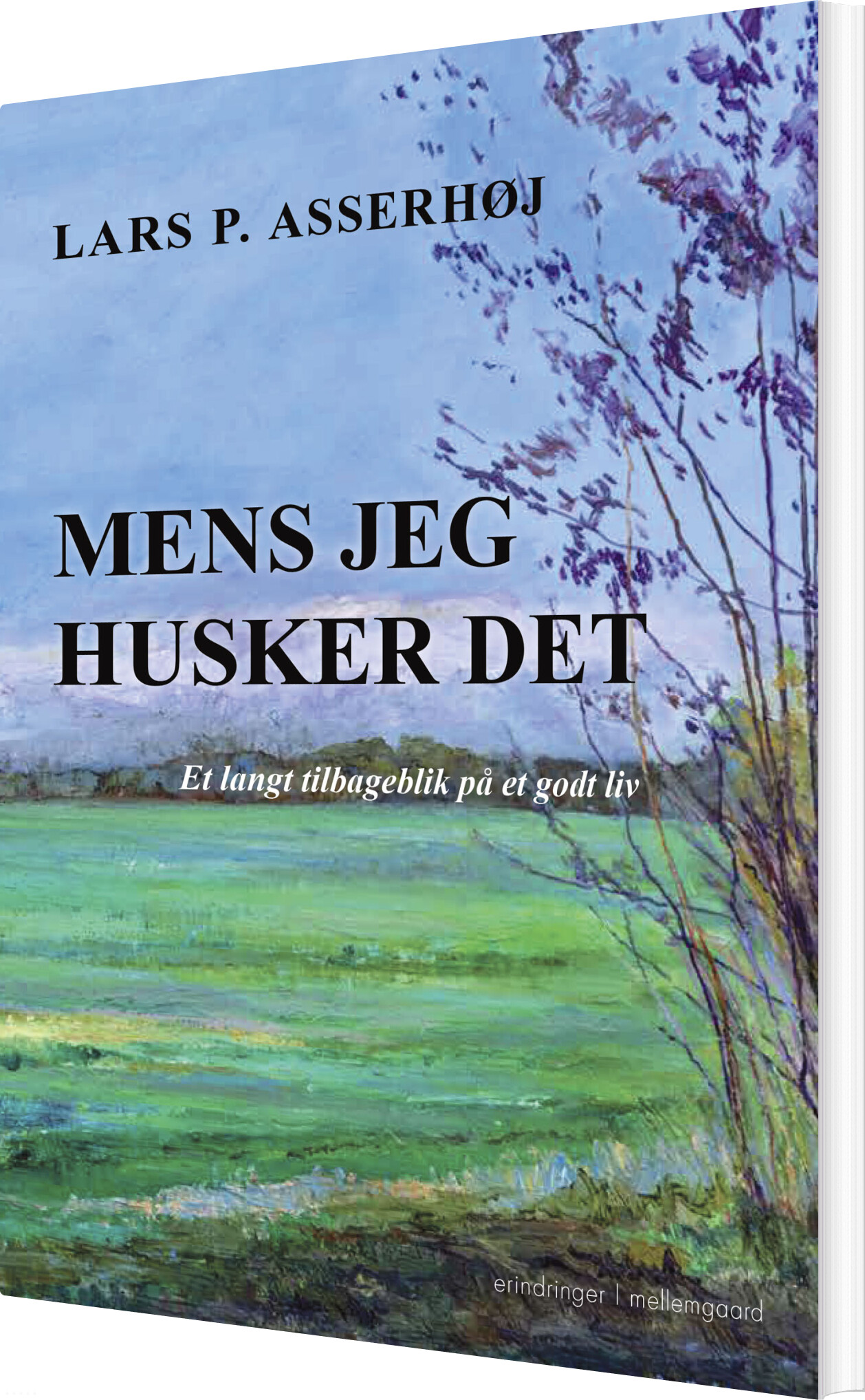 Mens Jeg Husker Det - Lars P. Asserhøj - Bog