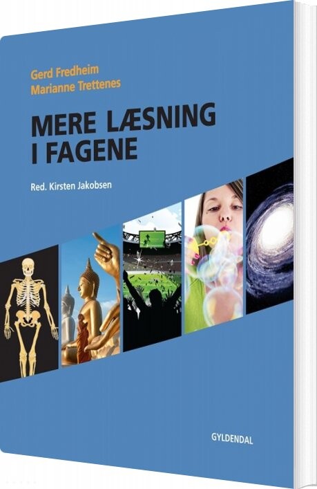 Billede af Mere Læsning I Fagene - Gerd Fredheim - Bog