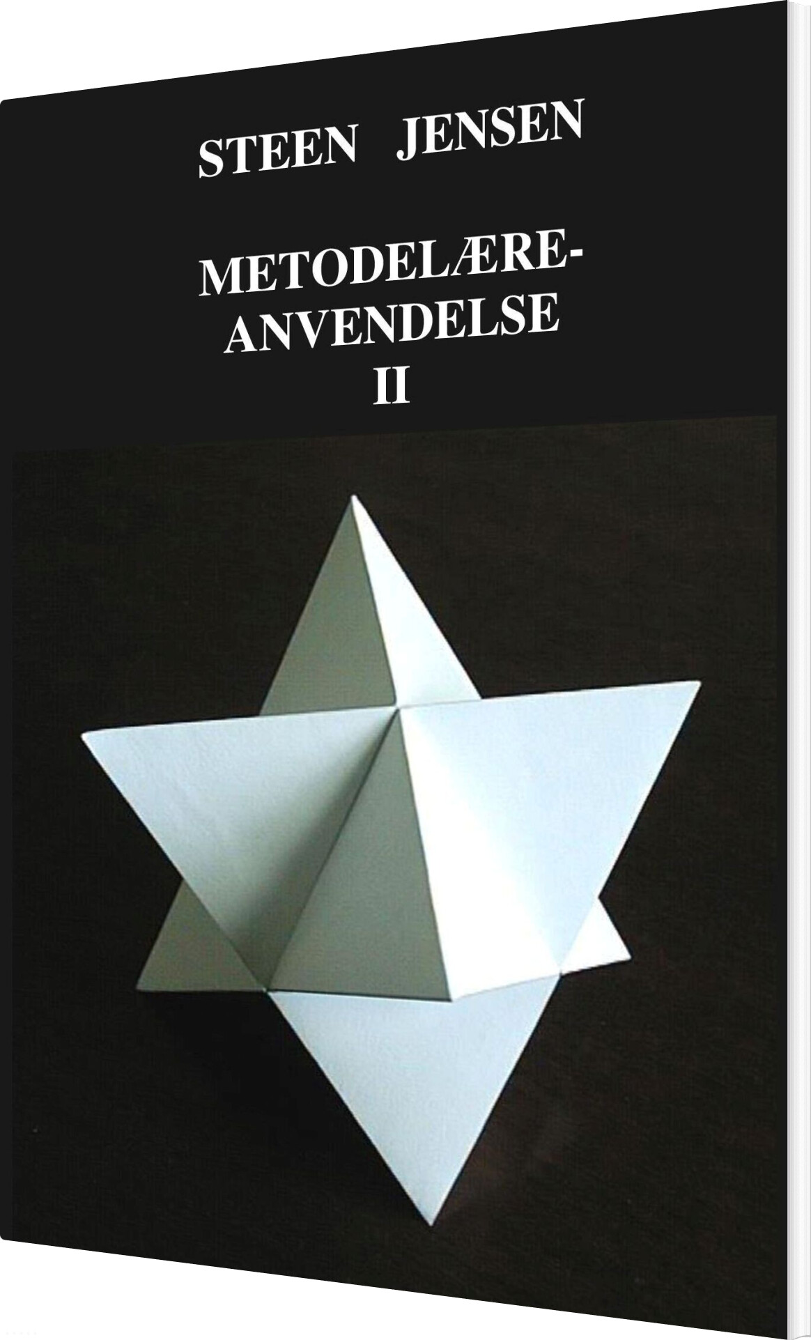 Metodelære-anvendelse Ii - Steen Jensen - Bog