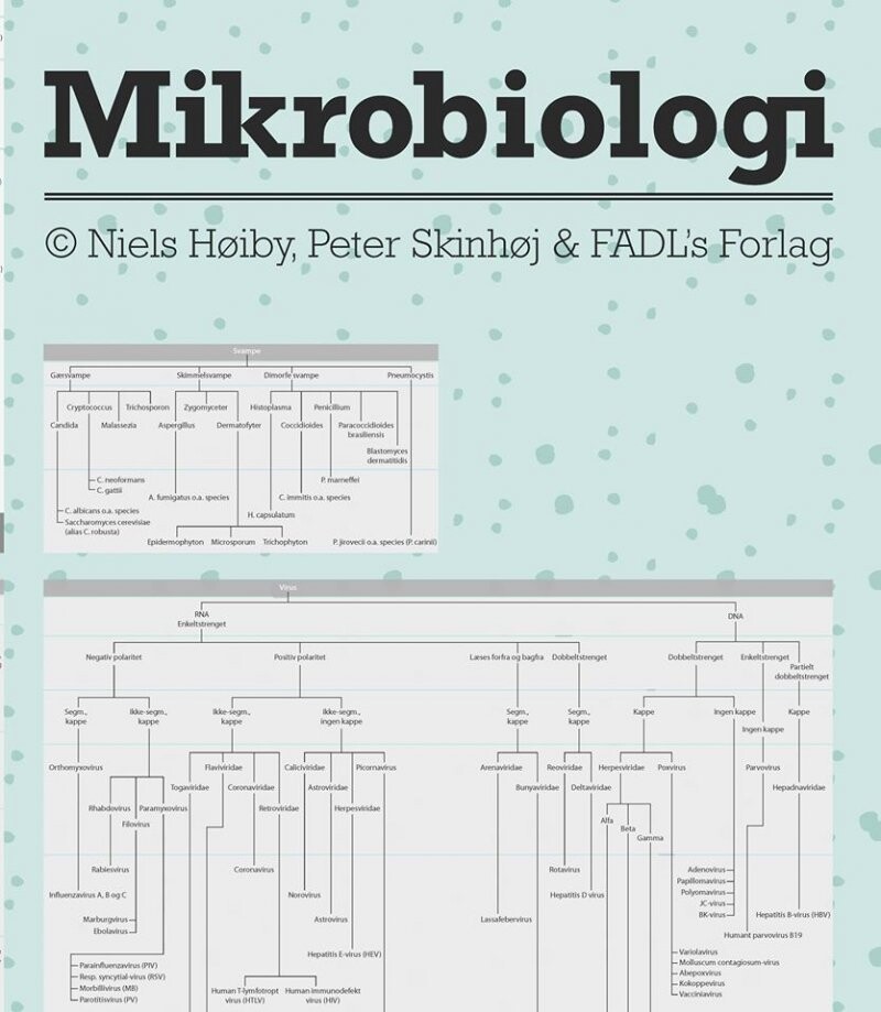 Mikrobiologi - Plakat