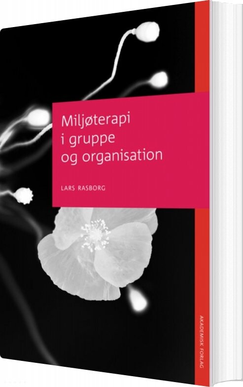 Billede af Miljøterapi I Gruppe Og Organisation - Lars Rasborg - Bog