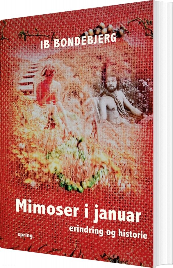 Mimoser I Januar - Ib Bondebjerg - Bog