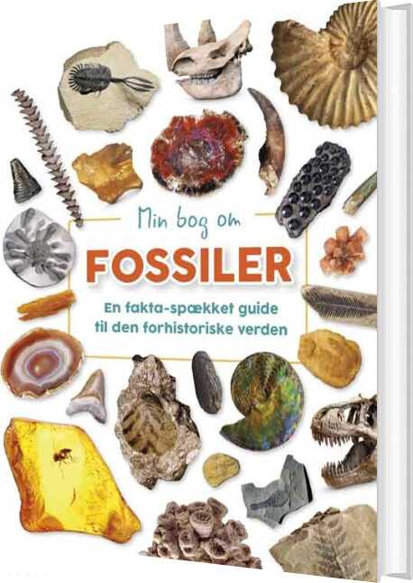 Billede af Min Bog Om Fossiler - Dr. Dean Lomax - Bog