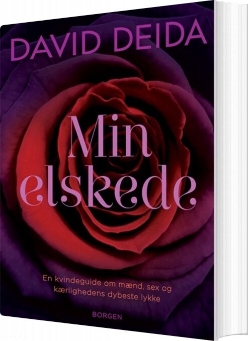 Billede af Min Elskede - David Deida - Bog