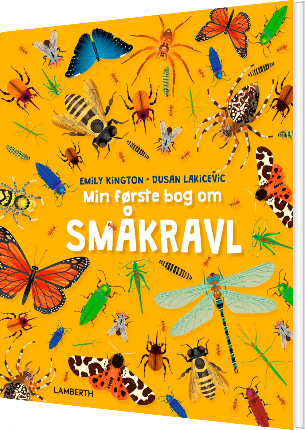 Min Første Bog Om Småkravl - Emily Kingston - Bog