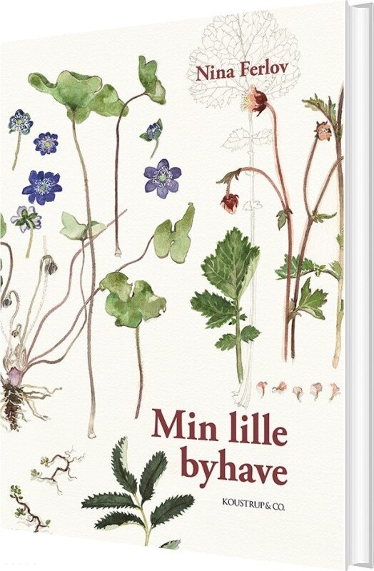 Min Lille Byhave - Nina Ferlov - Bog