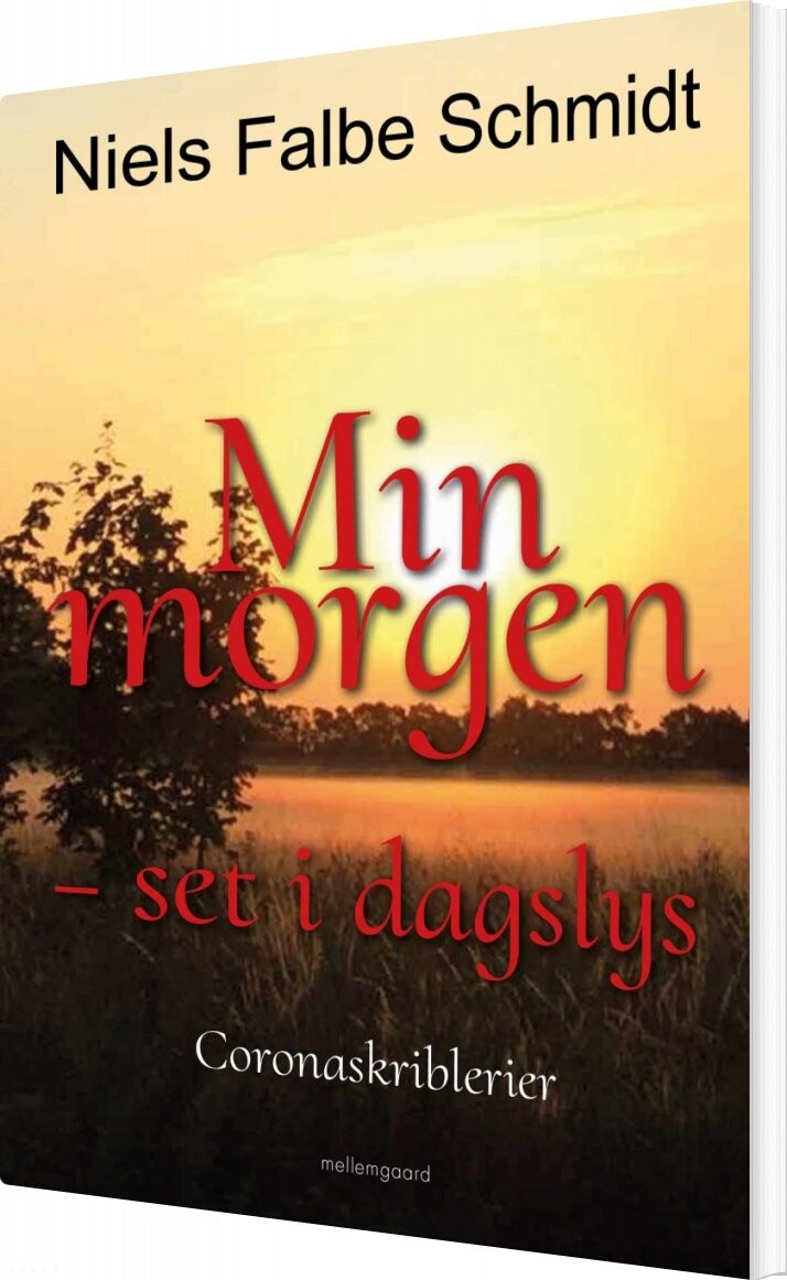 Min Morgen - Set I Dagslys - Niels Falbe Schmidt - Bog